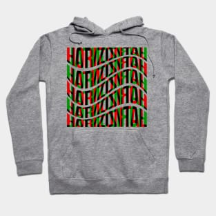 Horizontal Waves Typography (Red Green Black) Hoodie